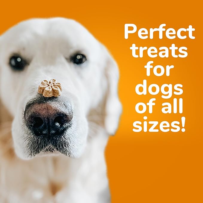 Fruitables Baked Dog Treats – Pumpkin Treats for Dogs – Healthy Low Calorie Treats – Free of Wheat, Corn and Soy – Pumpkin and Cranberry – 7 Ounces