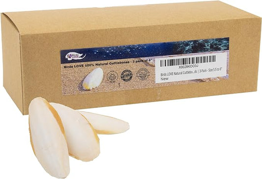 Birds LOVE Natural Cuttlebone – Premium Calcium & Trace Mineral Supplement for Avian Species, Tortoises, and Snails – Pure Cuttlebone for Parakeets, Cockatiels and All Birds - 3 Pack, Size 5.5 to 6"