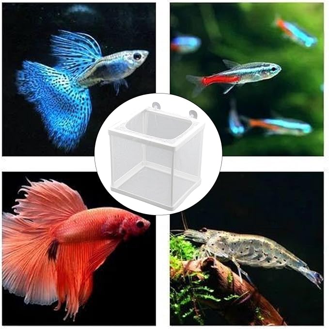 MY MIRONEY 6.3" x 5.63" x 6.22" Fish Incubator Mesh Box Aquarium Fish Breeder Box White Nylon Mesh Juvenile Fish Separation Net Fish Fry Hatchery with Suction Cups Pack of 2