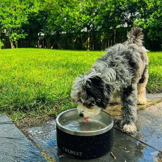 Coldest Dog Bowl, Anti Rust Metal & Non Slip Dog Bowls Large, Spill Proof Heavy Duty 3 Layers Insulated Dog Bowl, Food & Water Bowl for Dogs, Cats, Dishwasher Safe (42 oz, Polished Stainless Steel)