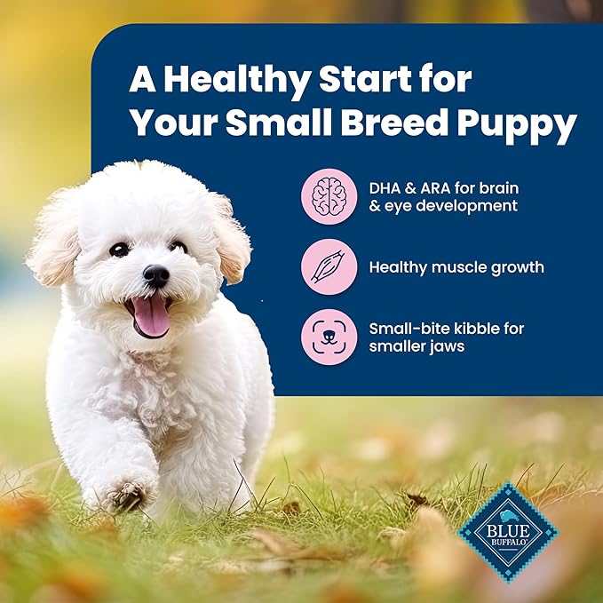 Blue Buffalo Life Protection Formula Small Breed Puppy Dry Dog Food with DHA, Vital Nutrients & Antioxidants, Made with Natural Ingredients, Chicken & Oatmeal Recipe, 15-lb. Bag