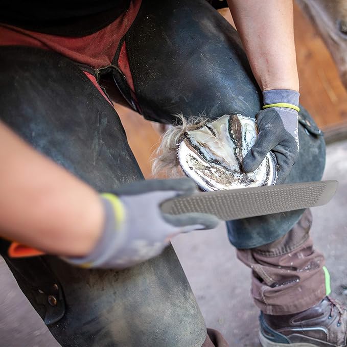 Professional Farrier Tool Kits Hoof rasp hoof Nippers hoof Knife 3 in 1 for Farriers, Veterinarians, and Horsemen