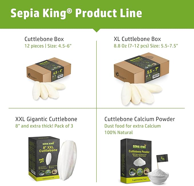 Large - 100% Natural Calcium Supplement - Premium Cuttlebone perfect for Birds, Tortoises, Snails, Reptiles - 5.5 to 7 inch