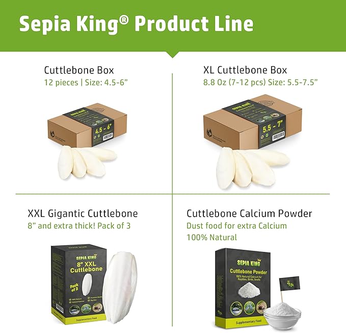 Medium - 100% Natural Calcium Supplement - Premium Cuttlebone Perfect for Birds, Tortoises, Snails, Reptiles - 12 Pack