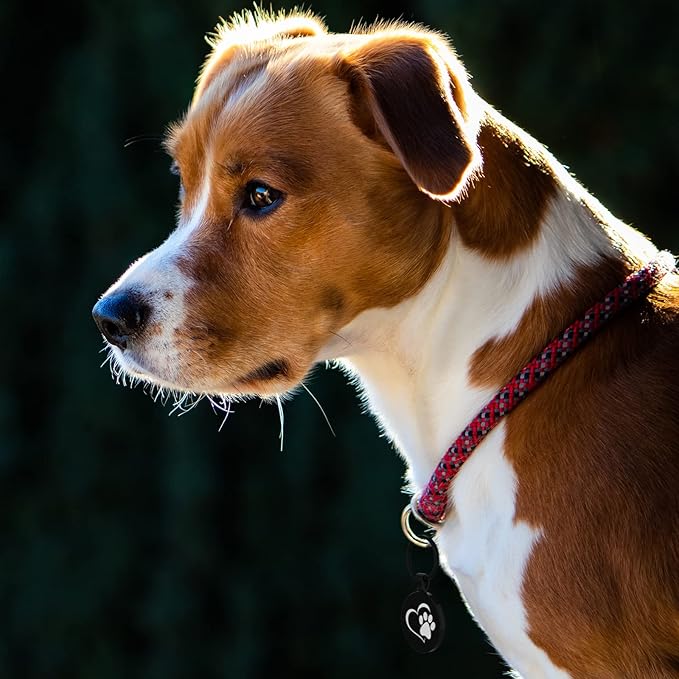 MYLUCKYTAG QR Code Pet ID Tags Dog Tags - Pet Online Profile - Scan QR Receive Instant Pet Location Alert Email