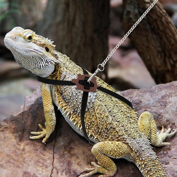 2 Pack Adjustable Reptile Harness and Leash for Lizard Gecko Bearded Dragon Outside Walk (Black)