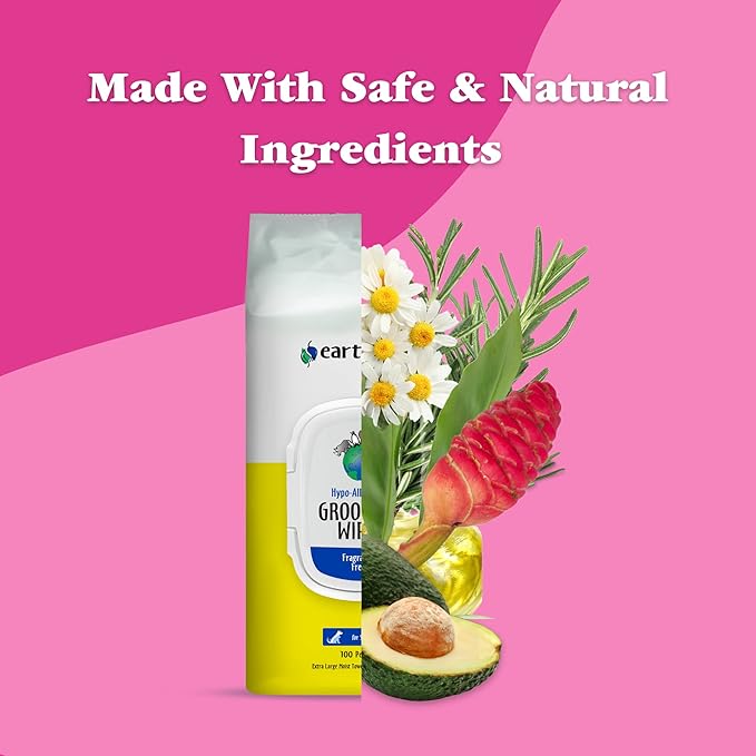 earthbath, Hypo-Allergenic Grooming Wipes - Fragrance Free Dog Wipes for Paws and Butt, Best Pet Wipes for Dogs with Sensitive Skin, Made in USA, Cruelty-Free Dog Cleaning Wipes - 100 Count (2 Pack)