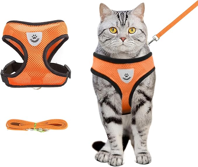 Summer cat Chest Harness and Leash, Anti-Escape Adjustable Soft mesh cat Leash and Chest Harness Set for All Types of Cats cat Vests (Size M, Orange)