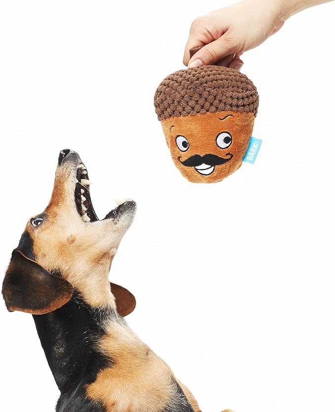 Barkbox 2 in 1 Interactive Plush Dog Toy - Rip and Reveal Dog Toy| Stimulating Squeaky Pet Enrichment and Puppy Toys | Monsieur Acorn | Small Dogs