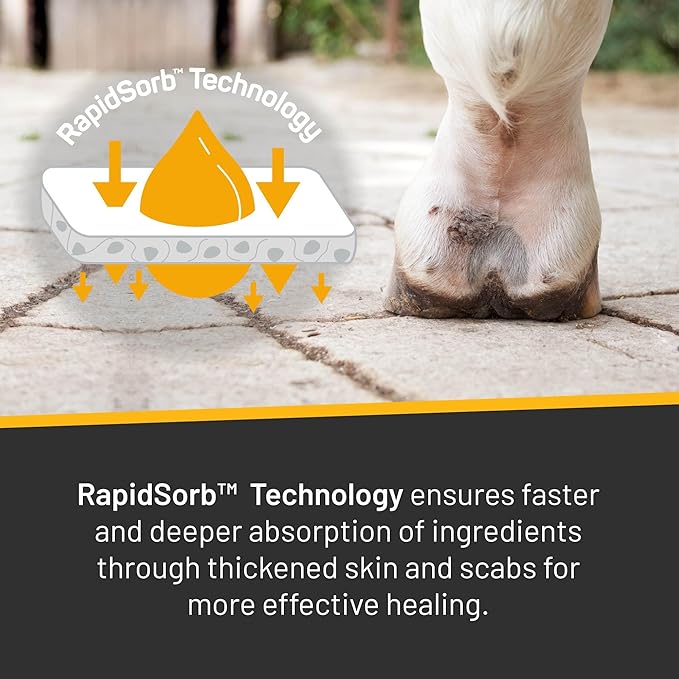 Rapid Relief 6oz Spray for Horses Only, Use on Equine Scratches / Pastern Dermatitis / Mud Fever / Dew Poisoning / Cracked Heels