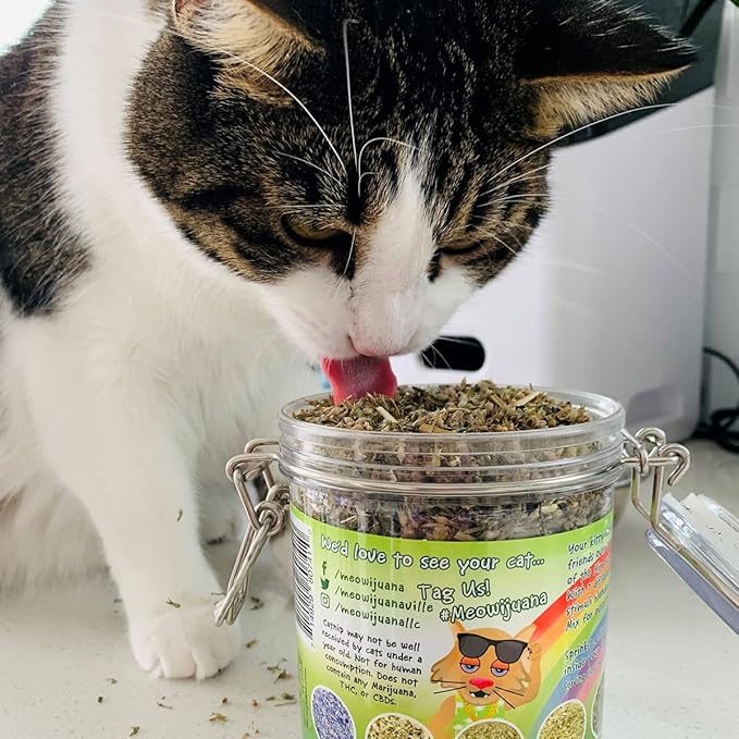 Meowijuana Catnip Pawty Mix Jar - Premium Organic Catnip for Cats - Irresistible Blend for Feline Entertainment, Fresh Catnip for Extended Playtime - Elevate Your Cat's Enjoyment