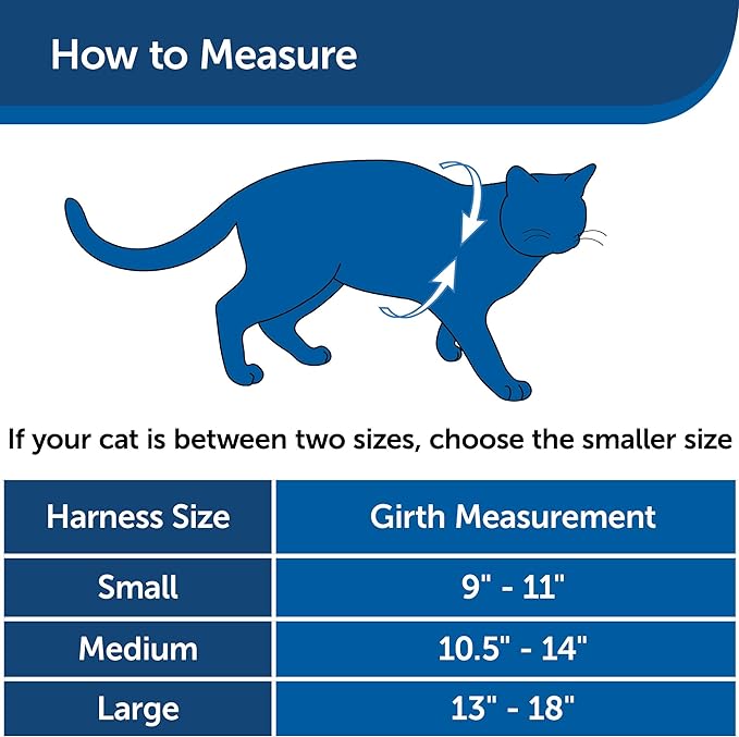 PetSafe Come with Me Kitty Harness and Bungee Leash - Medium, Royal Blue