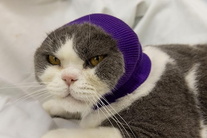 Pet War Flap Head Wrap (2 Pack), No Flap Ear Wrap Cat Small Headband Ears Happy Head Scarf Ear Wrap for Cats Grey+Purple S