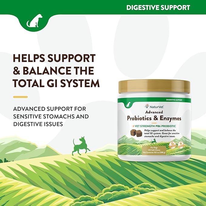 Veterinarian Strength Advanced Probiotics, Healthy Enzymes and PB6 Probiotic Supplement For Your Dogs Stomach, Intestine, Digestion and GI Tract health, Made by NaturVet, 120 Soft Chews