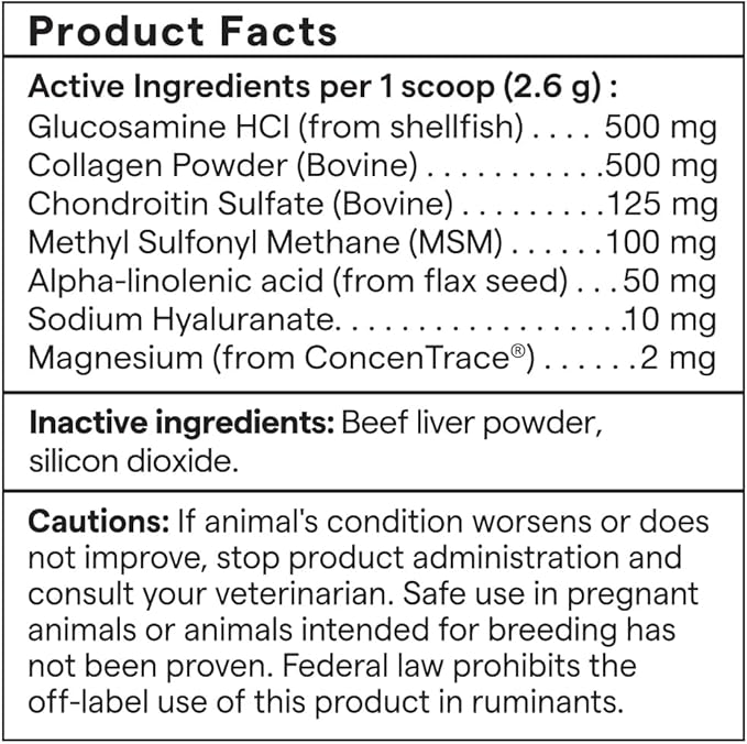 Trace Pet | Joint Support for Dogs and Cats | GSM Glucosamine Chondroitin and Collagen Powder | Powered by ConcenTrace Minerals | All Breeds | 16 oz Powder Jar