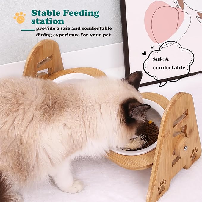 Raised Cat Food Bowls, 2 Elevated Ceramic Bowls 15° Tilted Orthopedic Feeding Dishes Solid Bamboo Pet Bowls Feeder Set for Cats and Puppy Feeding Station Kitty Bowl Set for Food and Water