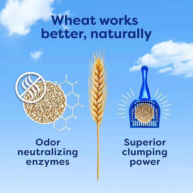 Natural Wheat Multi-Cat Litter, Superior Clumping with Odor Neutralizing Enzymes, 14 Pound Bag