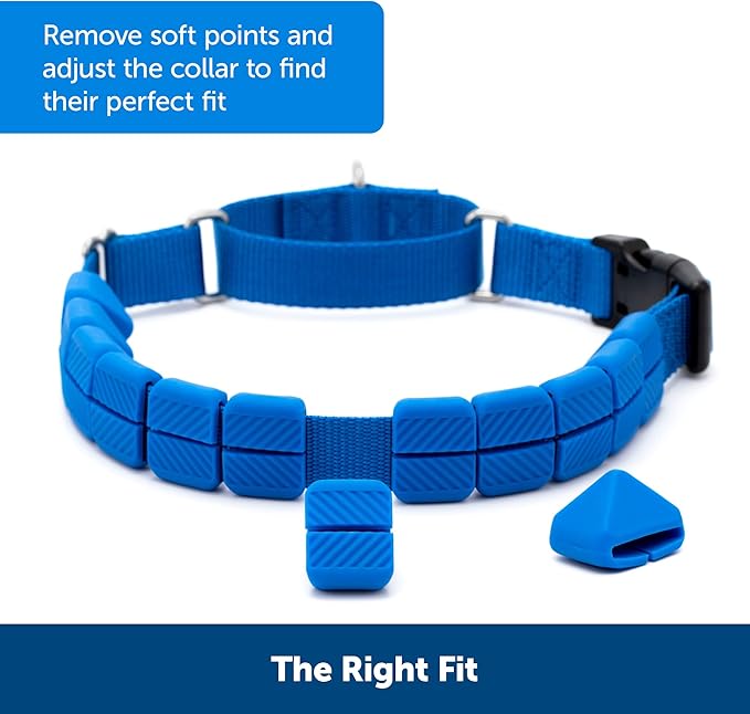 PetSafe Soft Point Training Collar - Helps Stop Pulling - Safer Than Prong or Choke Collars - Teaches Better Leash Manners - No Pull Training Collar with Rubber Points for Dogs - Medium, Blue