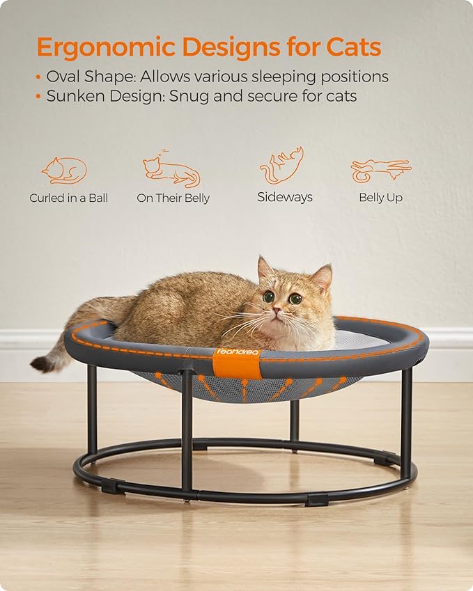 Feandrea Pet Bed, Elevated Cat Bed for Average Cats, Dog Bed for Miniature Dogs, with Removable Washable Mesh, for Pets up to 20 lb, Oval, Gray UPCB001G01