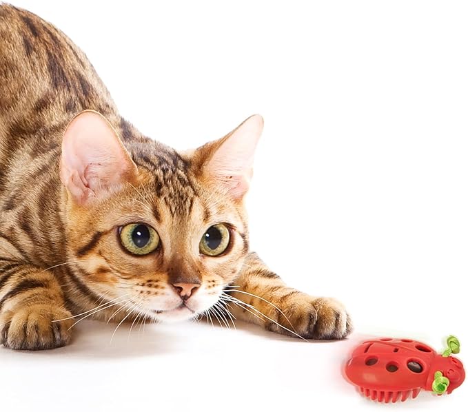 Petlinks Rumble Bug Electronic Motion Cat Toy, Battery Powered - Red, One Size