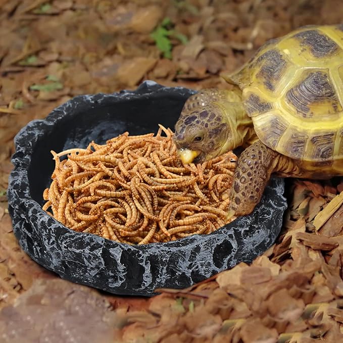 4 Pack Reptile Feeding Dish Reptile Food Water Bowl with Reptile Feeding Tongs Reptile Plate Dish for Feeding Tortoise Dragon Leopard Gecko Lizard, Black