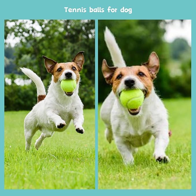 Dog Tennis Balls for Dogs,6 Pack 2 Inch Tennis Balls Compatible with Most Automatic Ball Launchers, for Puppy Dogs Playing Exercise and Practice