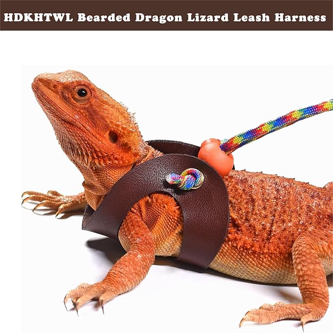 Bearded Dragon Lizard Leash Harness,3 Size Pack Adjustable Small Animal Harness for Bearded Dragon Lizard Reptiles and Other Small pet