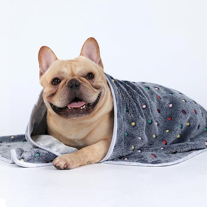 Luciphia 1 Pack 3 Blankets Super Soft Cute Dot Pattern Pet Blanket Flannel Throw for Dog Puppy Cat Dot Medium(30x20), Grey