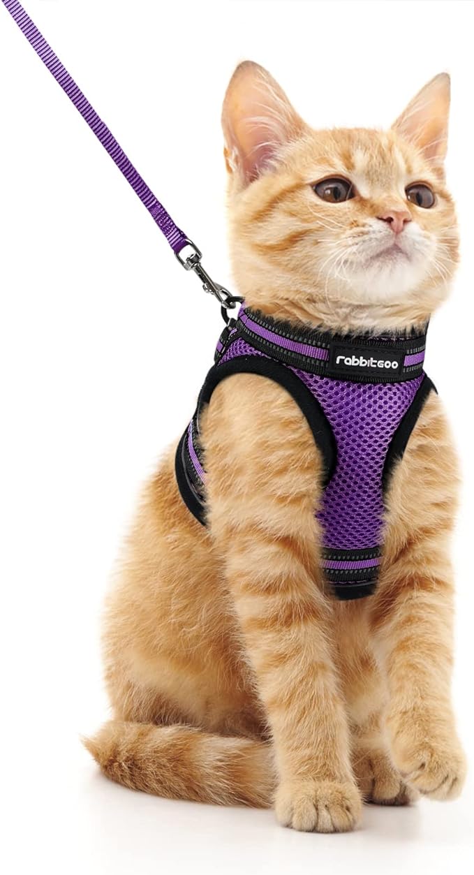 rabbitgoo Cat Harness and Leash Set for Walking Escape Proof, Adjustable Soft Kittens Vest with Reflective Strip for Cats, Comfortable Outdoor Vest, Purple, M