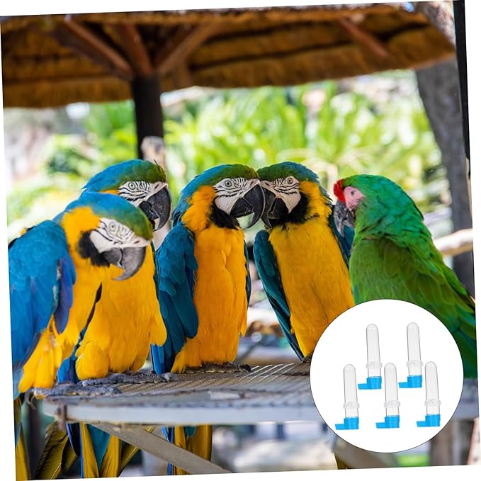 5pcs Bird Drinker Pet Bird Water Feeder Automatic Bird Water Dispenser Bird Drinking Bottle Bird Water Feeder for Cage Bird Accessories for Cages Bird Supplies Heighten Plastic