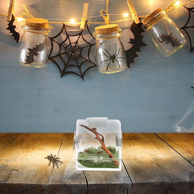 Mipcase 2pcs Jumping Spider Enclosure, Acrylic Spider Terrarium Transparent Jumping Spider Habitat for Jumping Spider Accessories