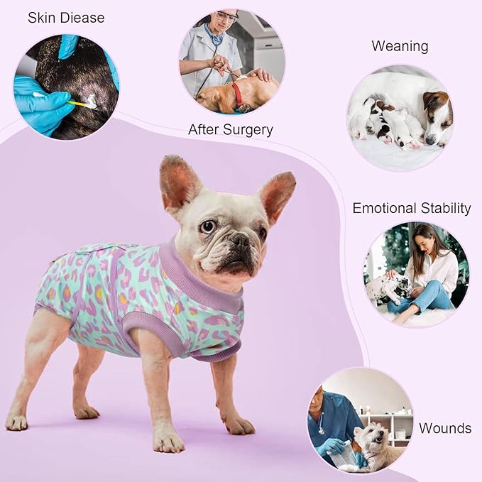 Kuoser Recovery Suit for Dogs After Surgery, Soft Dog Surgery Suit for Female Spay Male Neuter, Breathable Dog Onesie E-Collar & Cone Alternative Pet Bodysuit Anti Licking Wounds Surgical Shirt, XS