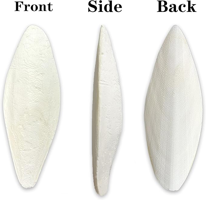 6 Pcs Bird Cuttlebone for Parakeets 6.6''-7'' Cuttlebone for Birds - 100% Natural Cuttlefish Bone Bulk Chew Toy Bird Bites Calcium Stone for Canaries Tortoises,Snails,Reptiles,Parrots,Cockatiel