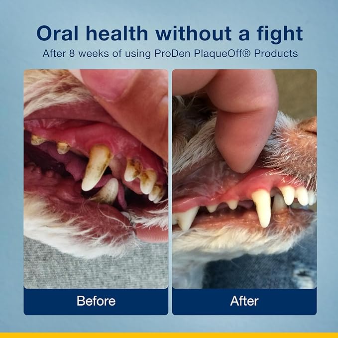 ProDen PlaqueOff Powder – Supports Normal, Healthy Teeth, Gums, and Breath Odor in Pets – 420 g