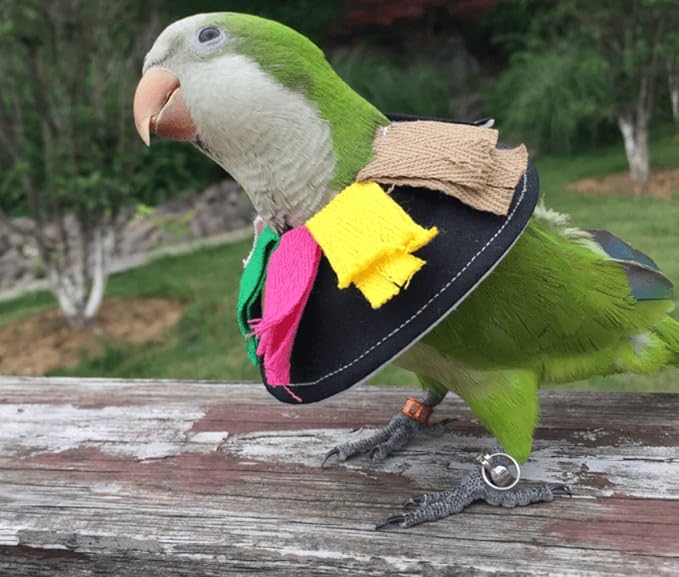 Adjustable Bird Collar Anti Bite Elizabethan Recovery Cone, Bird Neck Protector for Feather Plucking, Skin-Friendly Bird Neckwear Full Body Shield for Parakeet Conure Cockatiel (M)