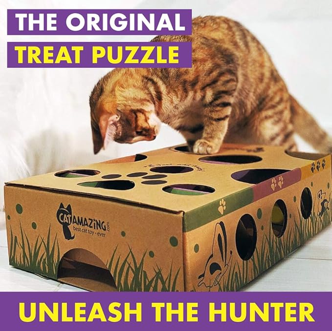 Classic – Cat Puzzle Feeder – Interactive Enrichment Toy – Treat Puzzle Box – Food Maze for Indoor Cats