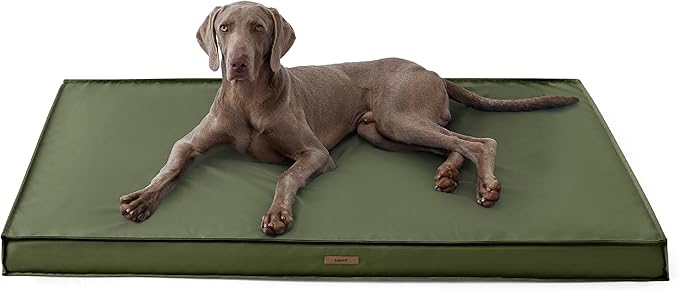 Lesure XXL Waterproof Dog Beds - Outdoor Dog Bed Washable with Oxford Fabric Surface, Extra Large Egg Orthopedic Foam Pet Bed with Removable and Durable Cover, Machine Washable