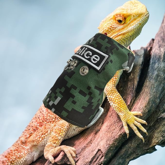 Bearded Dragon Harness and Leash Set - Adjustable Lizard Harness with Replaceable Patch Outdoor Traction Rope Walking Training Leash Reptile Halloween Costume Accessories for Small Pets (Green)