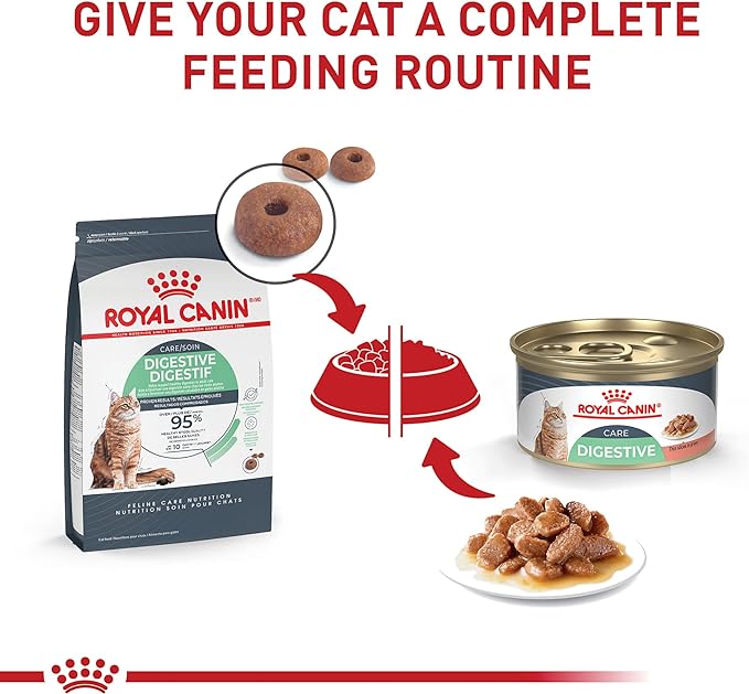 Royal Canin Feline Digestive Care Thin Slices in Gravy Wet Cat Food, 3 oz can (24-count)