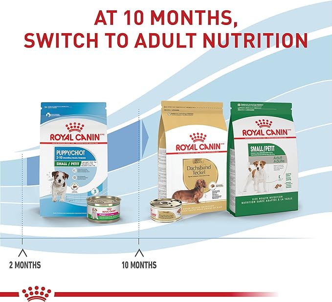 Royal Canin Size Health Nutrition Small Breed Dry Puppy Food, Supports Brain Development, Immune Support, and Digestive Health, 14 lb Bag