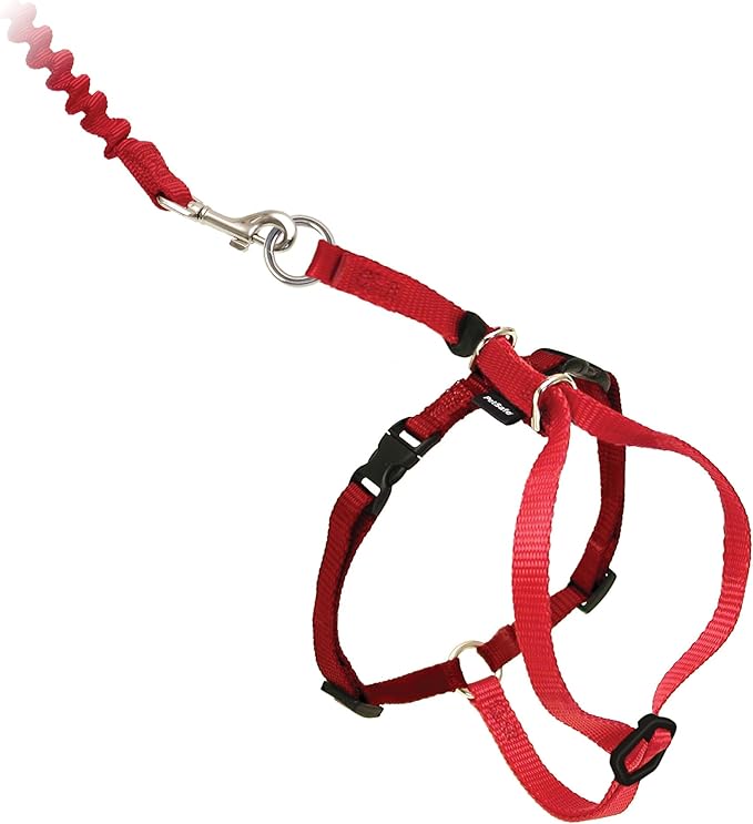 PetSafe Come with Me Kitty Harness and Bungee Leash, Harness for Cats, Large, Red/Cranberry