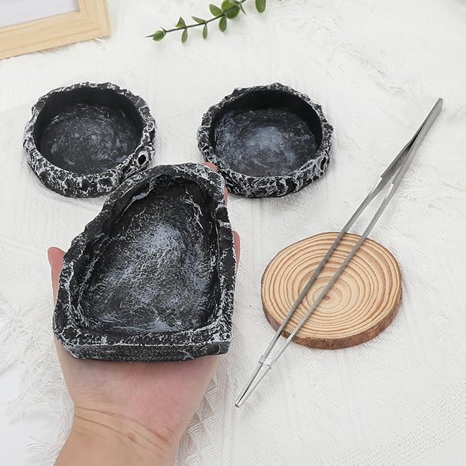 4 Pack Reptile Feeding Dish Reptile Food Water Bowl with Reptile Feeding Tongs Reptile Plate Dish for Feeding Tortoise Dragon Leopard Gecko Lizard, Black