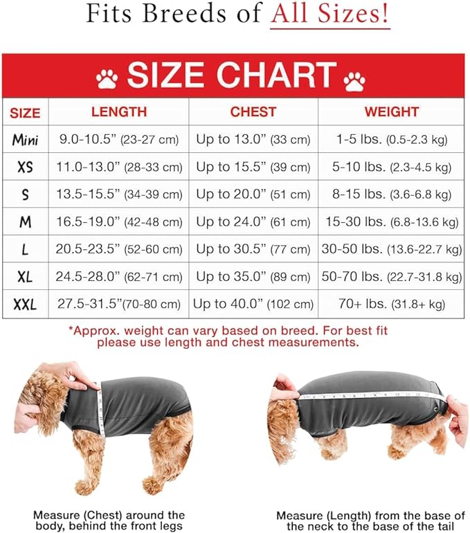 BellyGuard Recovery Suit for Dogs, After Surgery Dog Recovery Suit Female and Male, Soft Cotton Dog Surgery Suit Female Spay, Dog Surgical Recovery Suit Male Neuter, Comfy Surgical Onesie for Dogs.