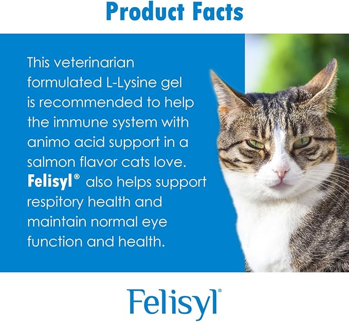 L-Lysine Gel for Cats - Immune System Support - Supplement Support for Healthy Tissue, Respiratory, and Vision - Salmon-Flavored - Made in The USA - 5 oz (6 Pack)