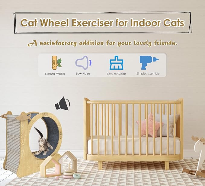 Cat Exercise Wheel Indoor with Low Noise & Install Video, 40 inch Snail-Shape Cat Running Wheel Exerciser for Indoor Cats, Scratcher & Storage Heavy Cat Treadmill with Non-slip Carpet