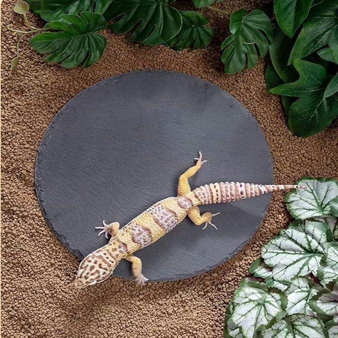 Reptile Basking Platform Rock Tortoise Habitat Slate Rock for Reptiles Food Dish Landscape Habitat Decor Accessories for Crested Gecko Lizard Bearded Dragon Turtle