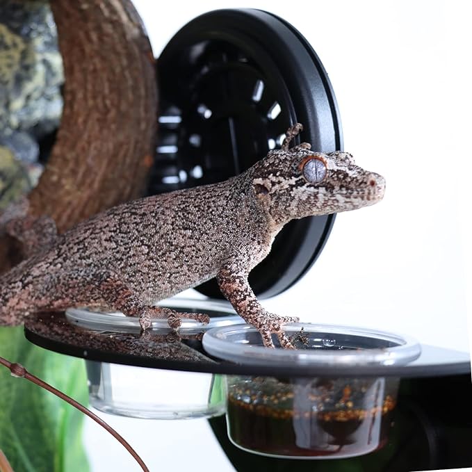 Gecko Feeder Ledge with 6 Pack Plastic Bowls Strong Magnetic Reptile Food Feeder Water Dish