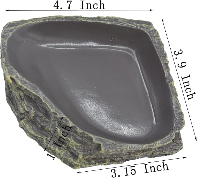 Reptile Bowl Reptile Feeder Terrarium Bowls, Reptile Water and Food Bowls for Lizard Feeding Bearded Dragon Food Dish, Gecko Reptile Water Dish
