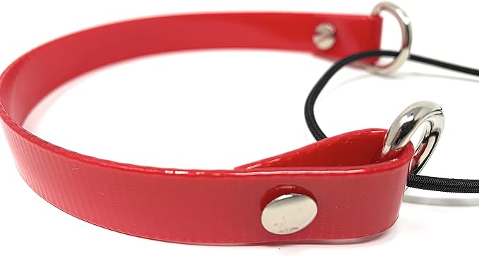 Sparky Pet Co - ECollar Replacement Strap - Bungee Dog Collar - Waterproof - Adjustable - Secure Nexus Wheel Lock - for Electronic Training & Invisible Fence Systems - 1" (Red)