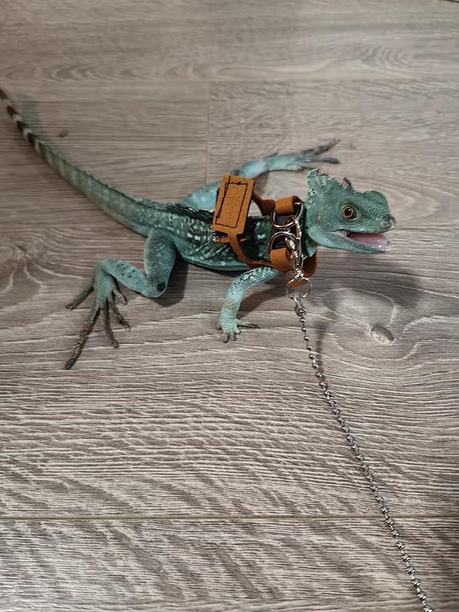 Bearded Dragon Harness and Leash Adjustable(M,L,XL) - Soft Leather Reptile Lizard Leash Accessories for Bearded Dragon, Lizard and Other Small Pets (2PC(L/XL))